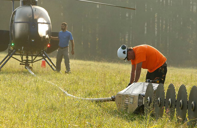 Allentown ROW Clearing